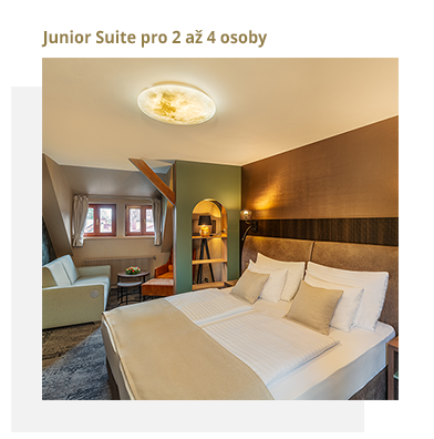 ubytování Junior Suite pro 2 - Třeboň